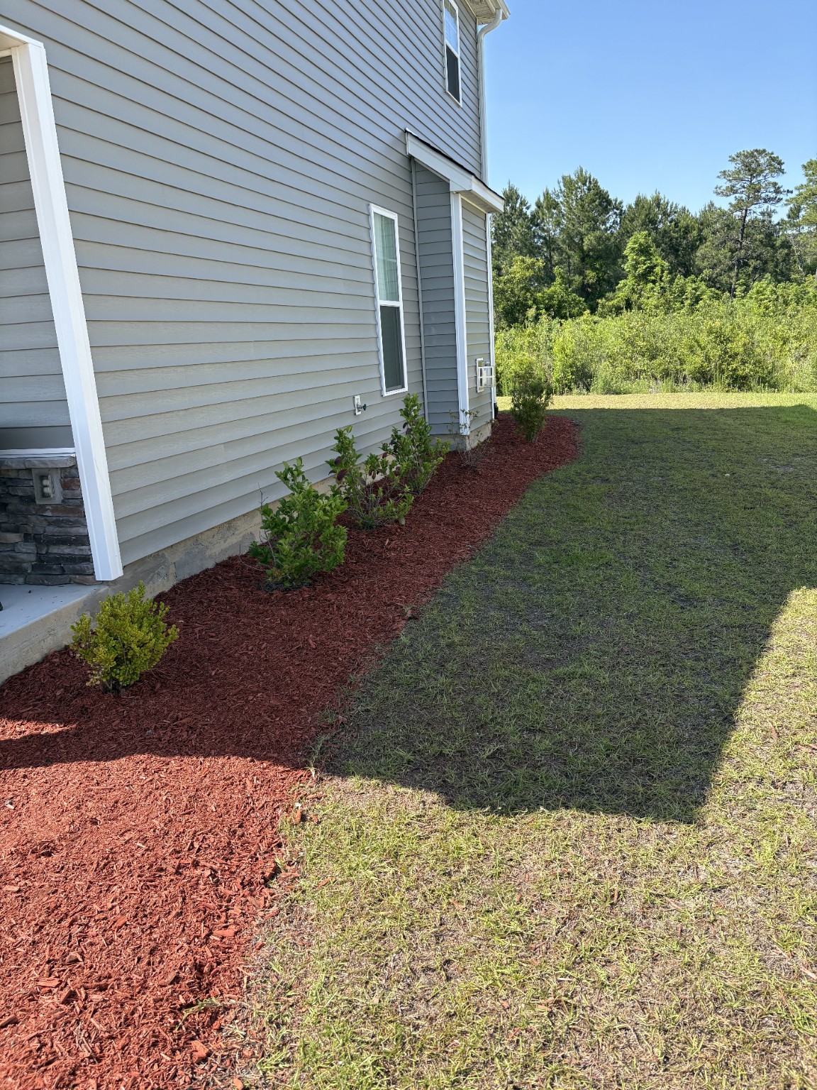 Landscape bed after red mulch installation