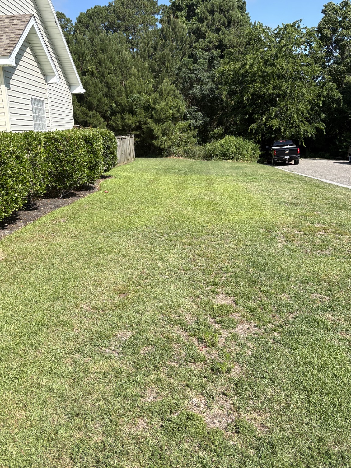 Freshly cut residential side yard